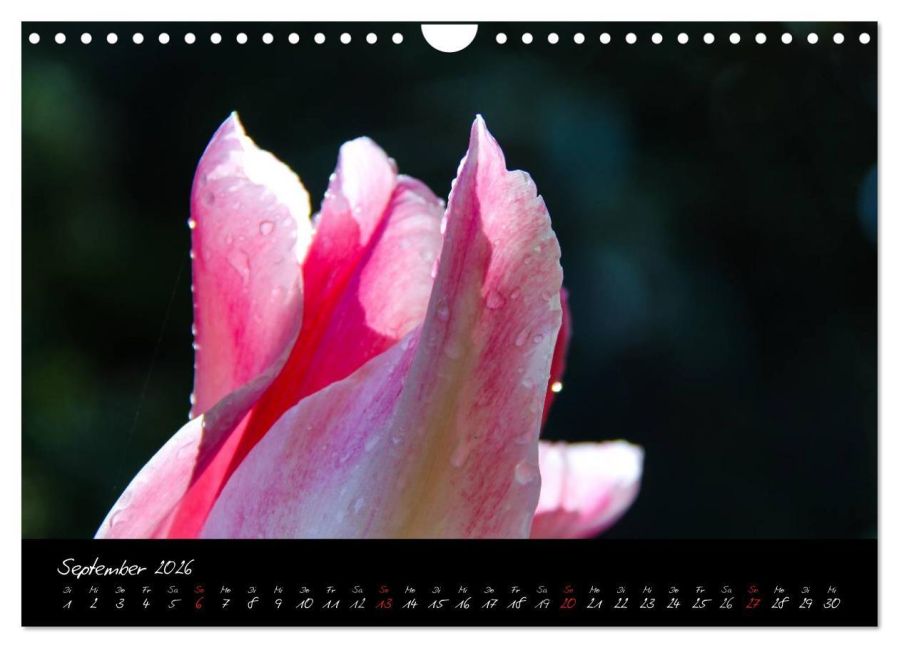 InsideView 14