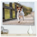 Jack Russell - Klein, aber oho! (hochwertiger Premium Wandkalender 2025 DIN A2 quer), Kunstdruck in Hochglanz - Annett Mirsberger Tierpfoto. De