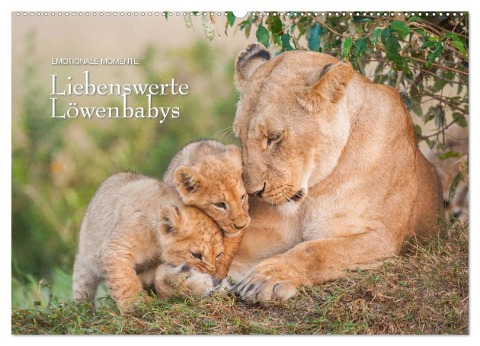 Emotionale Momente: Liebenswerte Löwenbabys (Wandkalender 2025 DIN A2 quer), CALVENDO Monatskalender - Ingo Gerlach GDT