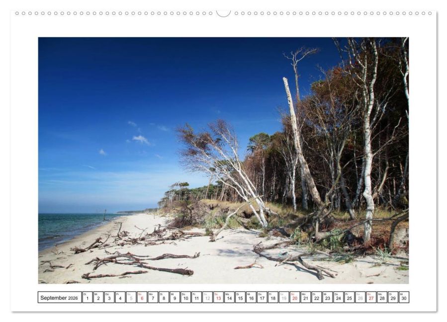 InsideView 13