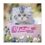 Trötsch Broschürenkalender Katzen 2026 - 