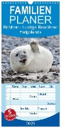 Familienplaner 2025 - Robben - Lustige Bewohner Helgolands mit 5 Spalten (Wandkalender, 21 x 45 cm) CALVENDO - Egid Orth