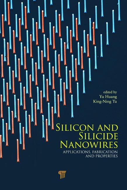 Silicon and Silicide Nanowires - 