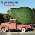 Cover-Bild zum Titel 'Something Big' von 'The Mick Fleetwood Band'