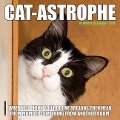 Cat-Astrophe 2025 7 X 7 Mini Wall Calendar - Willow Creek Press