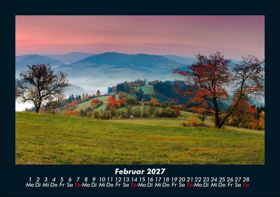 InsideView 6