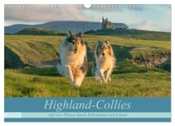 Cover-Bild zum Titel 'Highland-Collies - Auf vier Pfoten durch Schottland und Irland (Wandkalender 2026 DIN A3 quer), CALVENDO Monatskalender' von 'Julia Elling'
