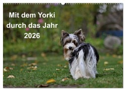 Cover-Bild zum Titel 'Mit dem Yorki durch das Jahr 2026 (Wandkalender 2026 DIN A2 quer), CALVENDO Monatskalender' von 'Friedhelm Bauer'