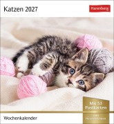 Cover-Bild zum Titel 'Katzen Postkartenkalender 2027 - Wochenkalender mit 53 Postkarten' von ''