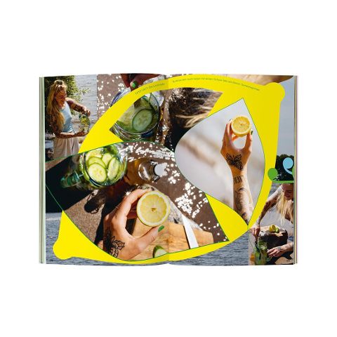 InsideView 5