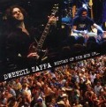 Return of The Son of... - Dweezil Zappa