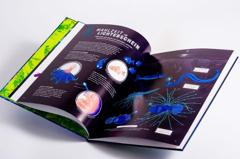 InsideView 4