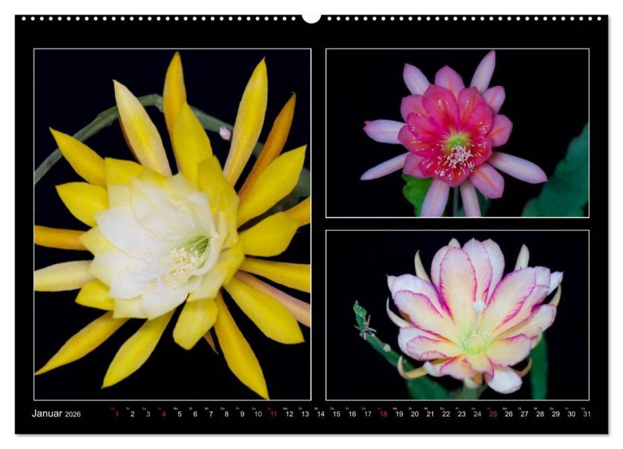 InsideView 6