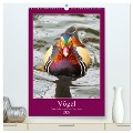Vögel - Große, kleine, bunte (hochwertiger Premium Wandkalender 2025 DIN A2 hoch), Kunstdruck in Hochglanz - Gisela Kruse