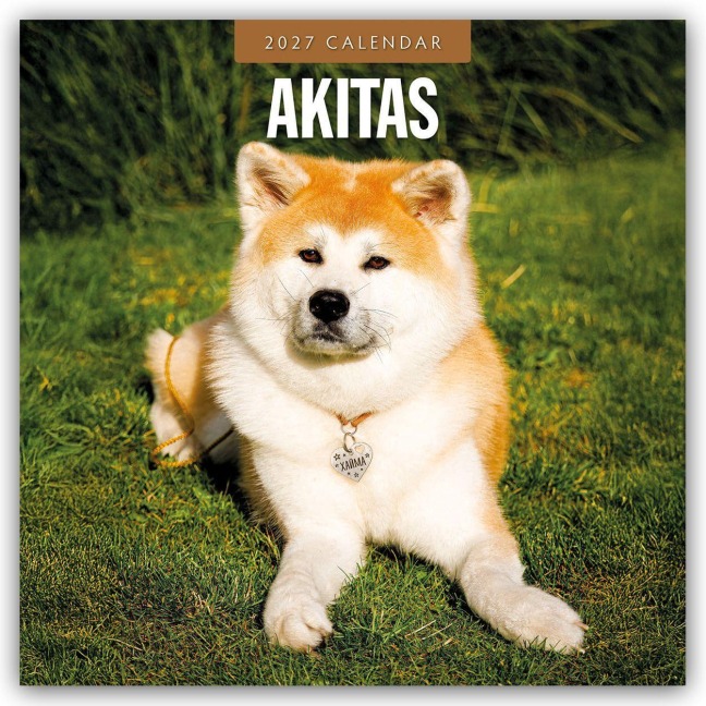 Akitas - Akita 2027 - 16-Monatskalender - Robin Red