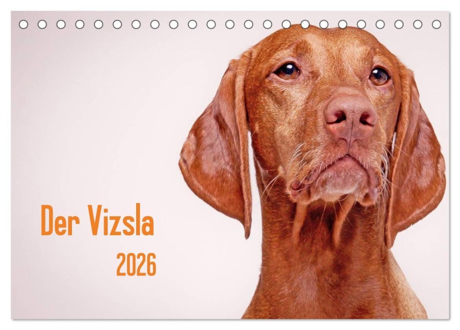 Der Vizsla 2026 (Tischkalender 2026 DIN A5 quer), CALVENDO Monatskalender - Susanne Stark