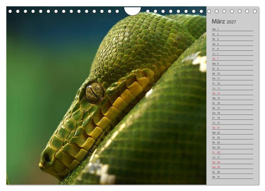 InsideView 8