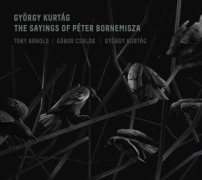 Cover-Bild zum Titel 'Die Sprüche des Peter Bornemisza' von 'Tony/Csalog Arnold'