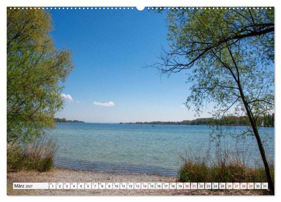 InsideView 8