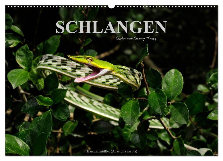 Schlangen (Wandkalender 2027 DIN A2 quer), CALVENDO Monatskalender - Benny Trapp
