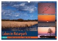 Leben am Naturpark um den Dümmer See (Wandkalender 2024 DIN A3 quer), CALVENDO Monatskalender - Tanja Riedel