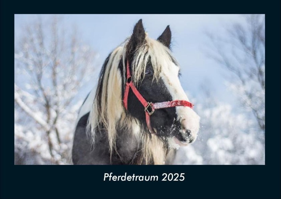 Pferdetraum 2025 Fotokalender DIN A4 - Tobias Becker