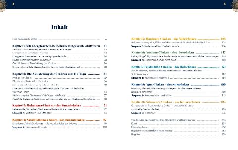 InsideView 1