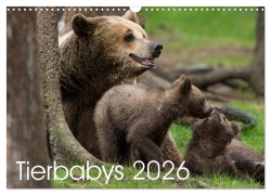 Cover-Bild zum Titel 'Tierbabys 2026 (Wandkalender 2026 DIN A3 quer), CALVENDO Monatskalender' von 'Johann Schörkhuber'