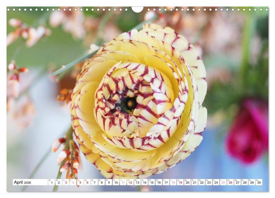 InsideView 9