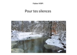 Cover-Bild zum Titel 'Pour tes silences' von 'Fabien Vispi'