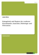 Cover-Bild zum Titel 'Kniegelenk und Ruptur des vorderen Kreuzbandes. Anatomie, Pathologie und Prävention' von 'Jakob Meis'