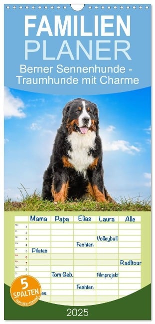 Familienplaner 2025 - Berner Sennenhunde - Traumhunde mit Charme mit 5 Spalten (Wandkalender, 21 x 45 cm) CALVENDO - Jana K. Fotografie