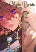 Cover-Bild zum Titel 'The Male Bride 1' von 'Tamekou'