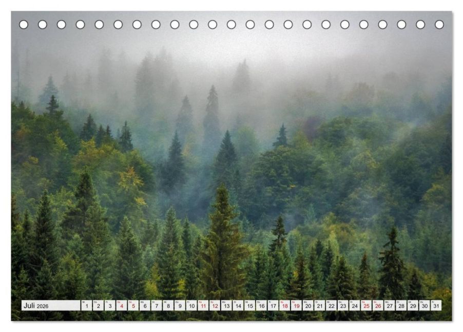 InsideView 12