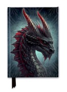 Cover-Bild zum Titel 'Kerem Beyit: Fierce Dragon (Foiled Journal)' von ''
