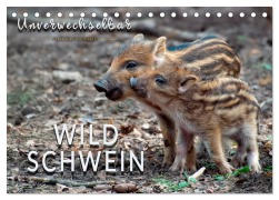 Cover-Bild zum Titel 'Unverwechselbar - Wildschwein (Tischkalender 2026 DIN A5 quer), CALVENDO Monatskalender' von 'Peter Roder'