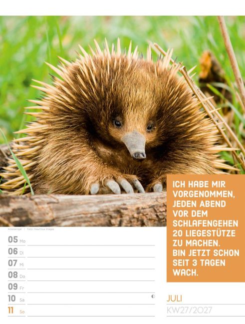 InsideView 31