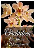 Orchideen - Exoten im Wohnzimmer (Wandkalender 2025 DIN A4 hoch), CALVENDO Monatskalender - Anita Will
