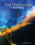 Cover-Bild zum Titel 'The Wormhole' von 'Nathan Stevens'