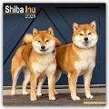 Shiba Inu 2025 - 16-Monatskalender - Avonside Publishing Ltd