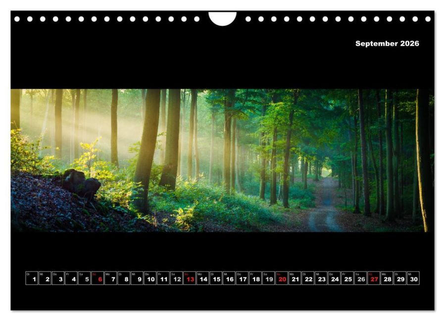 InsideView 14