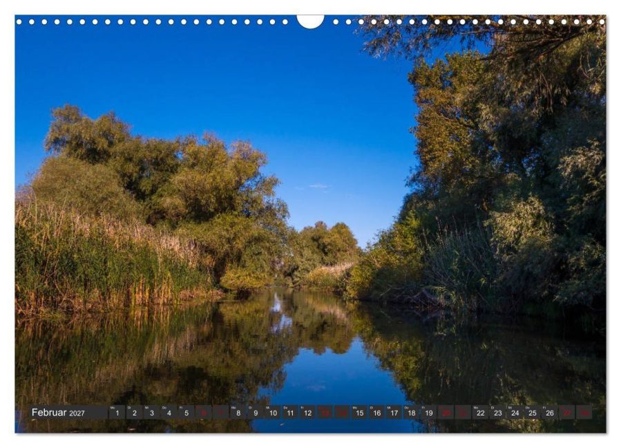 InsideView 7