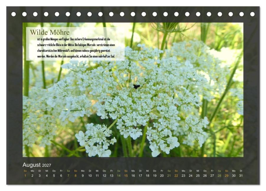 InsideView 13