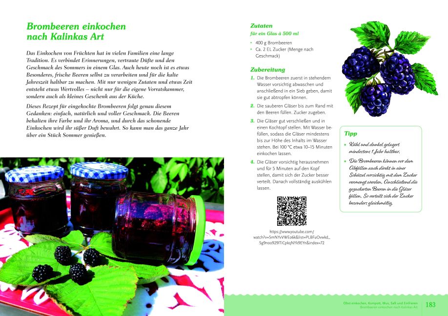 InsideView 4