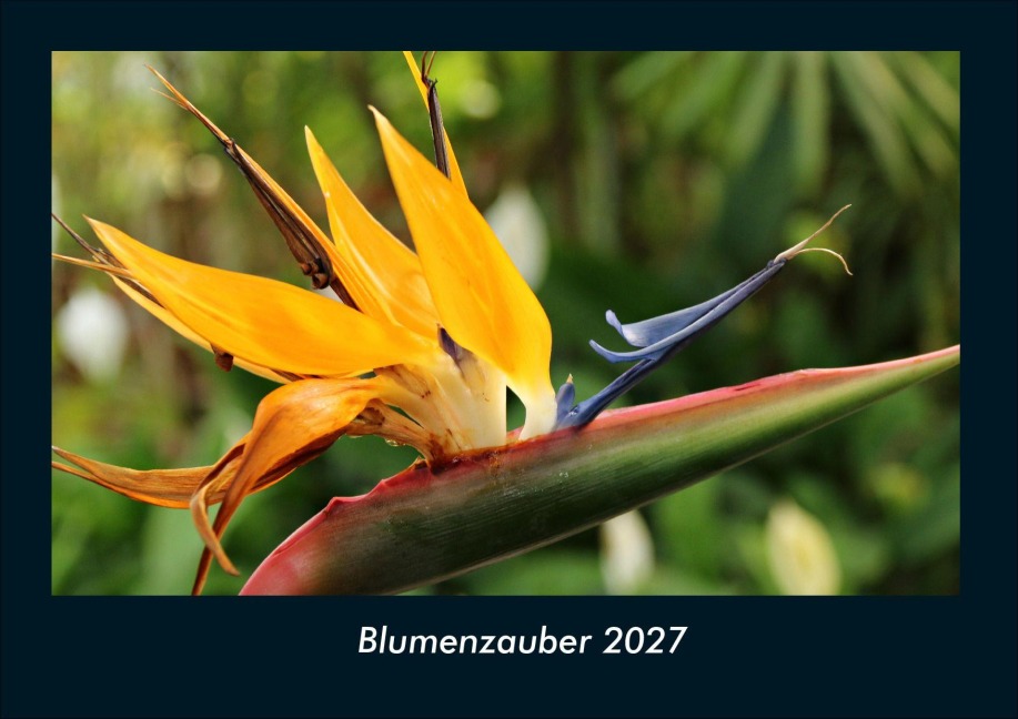 Blumenzauber 2027 Fotokalender DIN A4 - Tobias Schmitt, Kevin Heber