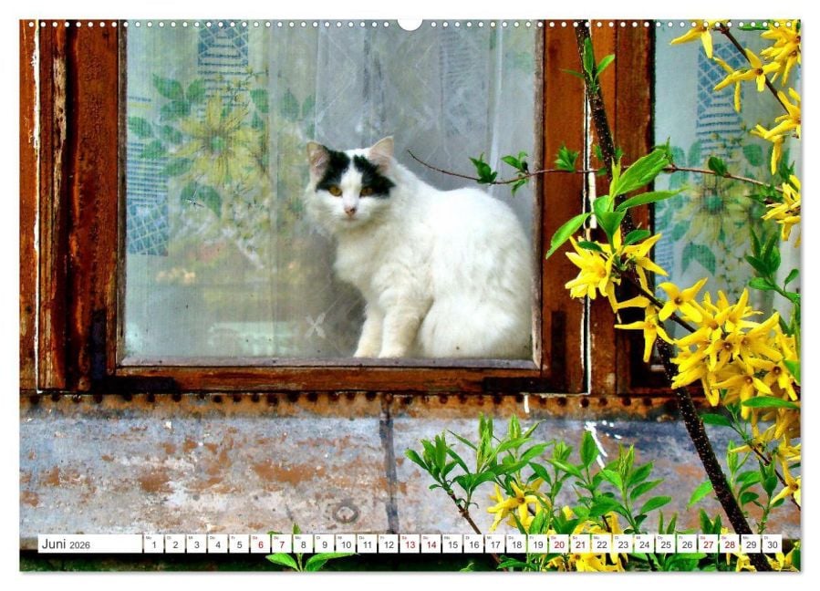 InsideView 11