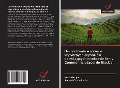 Cover-Bild zum Titel 'Dochodzenie w sprawie krytycznych czynników decyduj¿cych o sukcesie firmy Commer nale¿¿cej do Black'a' von 'Noko Masipa, Samuel Obimakinde'