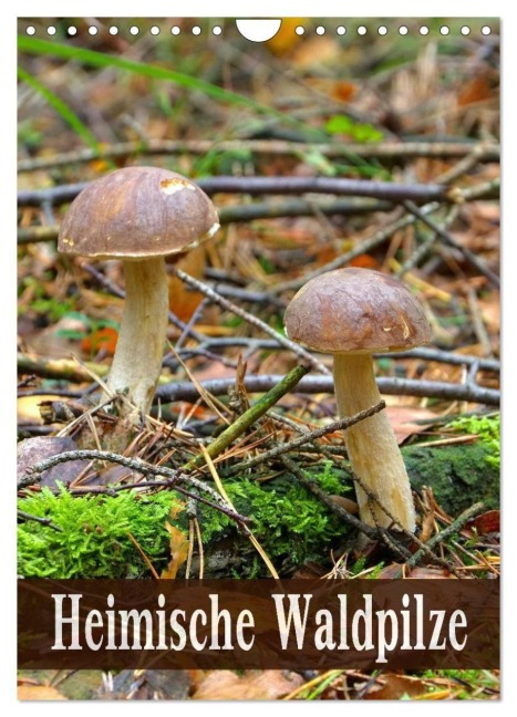 Heimische Waldpilze (Wandkalender 2027 DIN A4 hoch), CALVENDO Monatskalender - Lianem