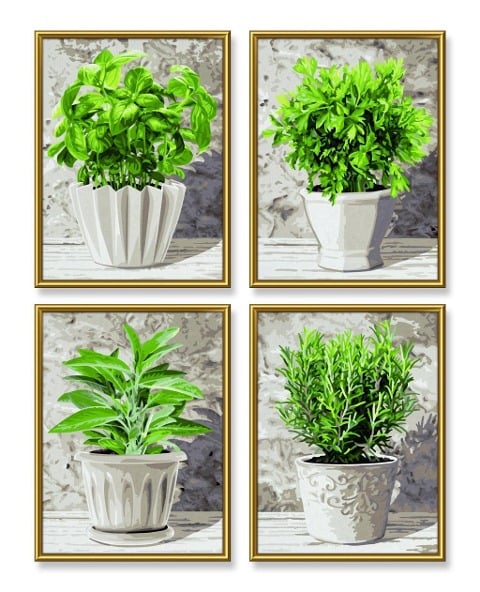 Schipper Malen nach Zahlen - Küchenkräuter (Quattro) - 