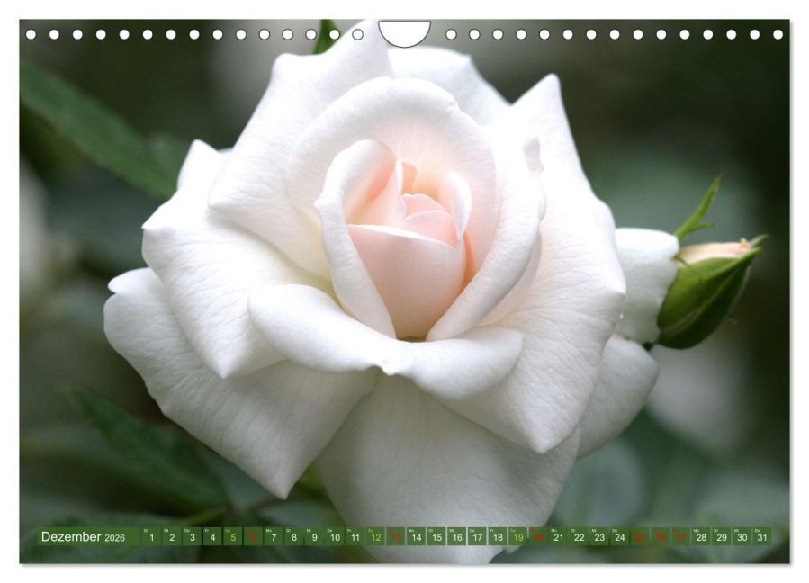 InsideView 4